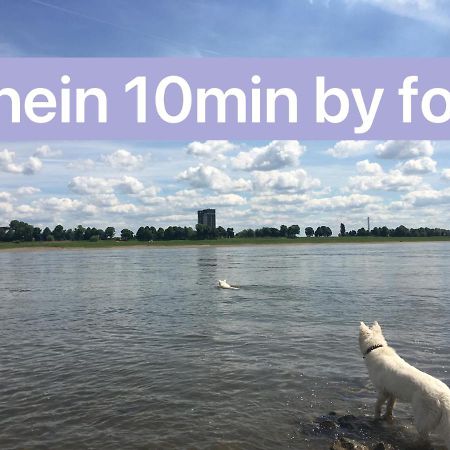 Igo Apartment 2 Schlafenzimmer Mit Waschmaschine Trockner Haustier Rheinufer 5Min Netflix Disney Plus 17-6 Дуйсбург Екстериор снимка