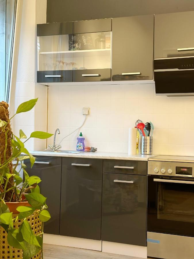 Igo Apartment 2 Schlafenzimmer Mit Waschmaschine Trockner Haustier Rheinufer 5Min Netflix Disney Plus 17-6 Дуйсбург Екстериор снимка